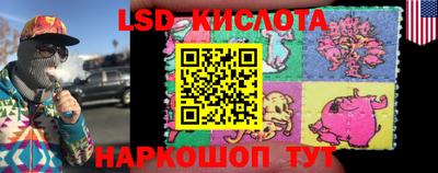spice Краснознаменск